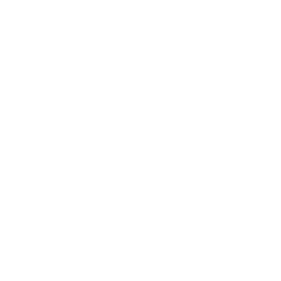 ForcePlay logo
